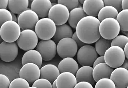 Thermo Scientific (Duke) NIST Traceable Size Standards and Count Controls